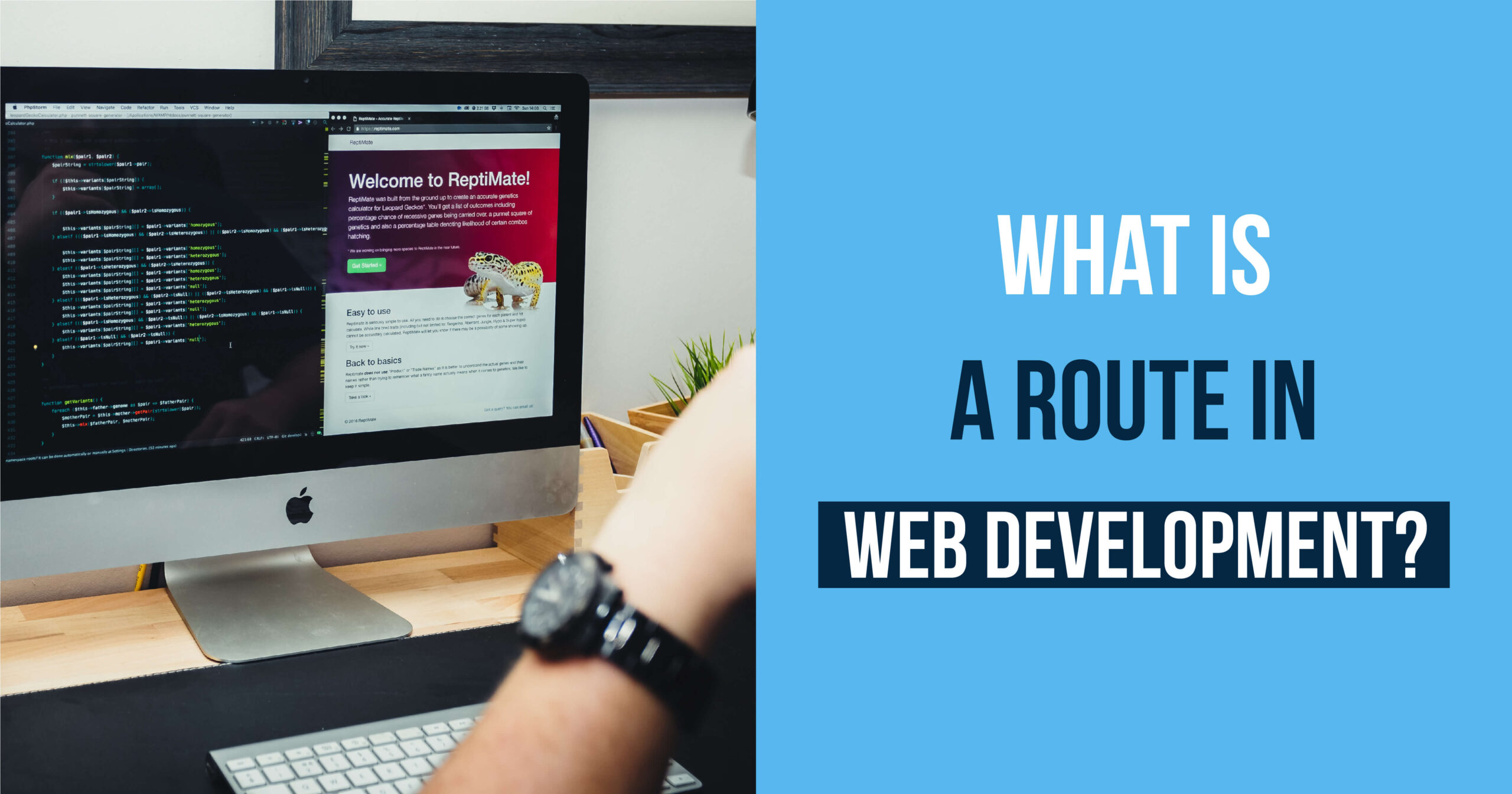 What is a Route in Web Development
