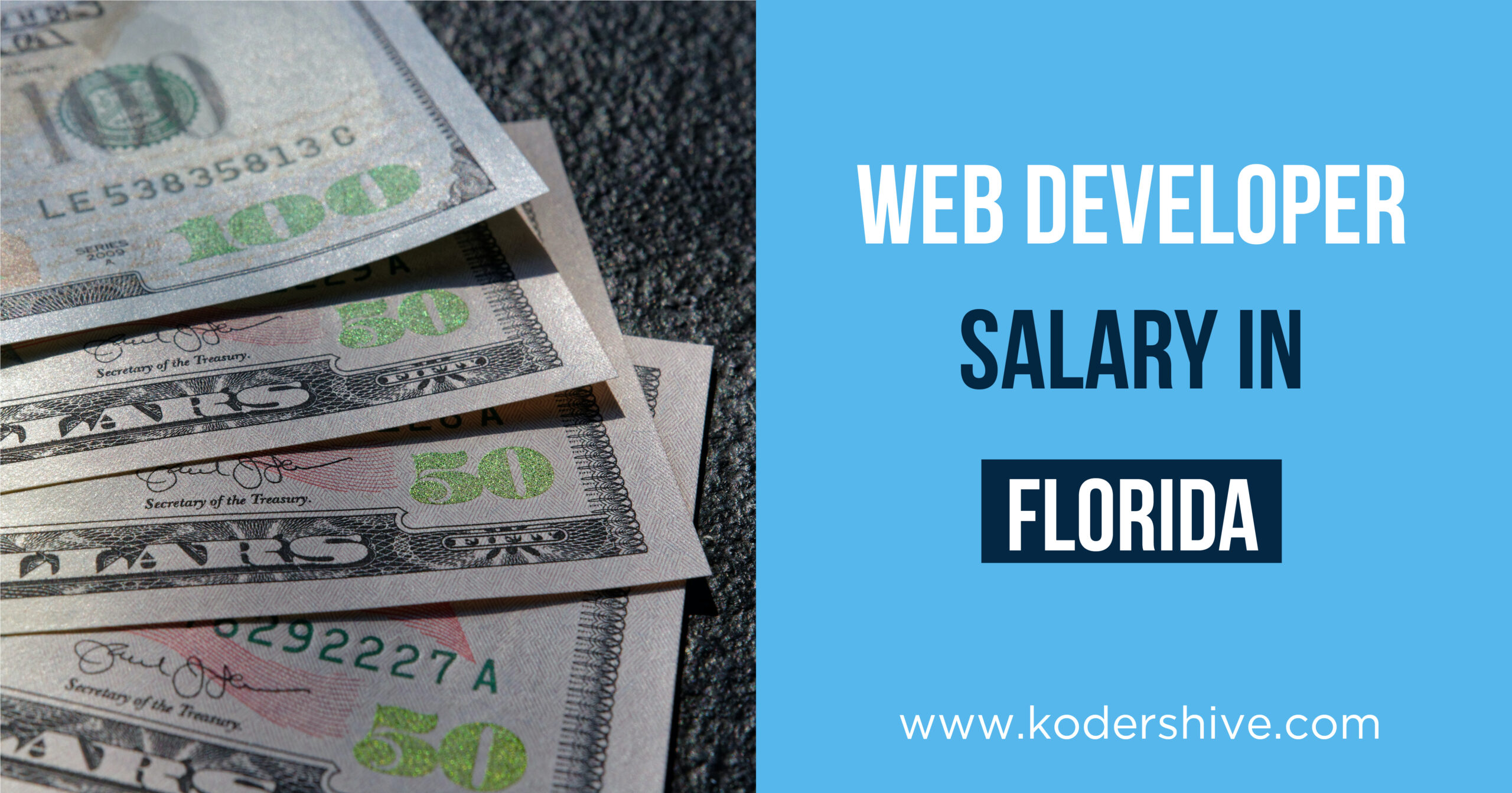 Web Developer Salary in Florida, United State (2024)