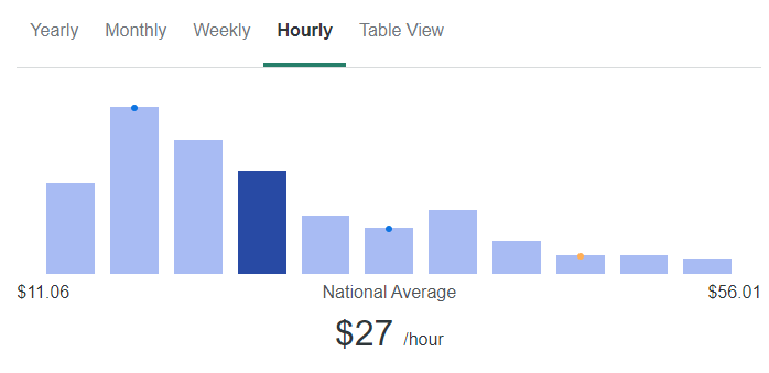average web developer hourly rate is concerned, it is $45.07