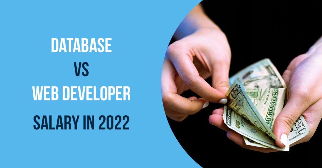 database vs web developer