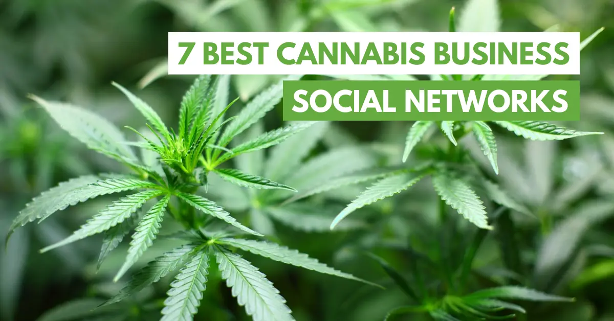 cannabis business social network