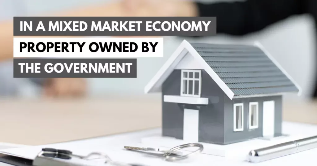 in a mixed market economy property owned by the government