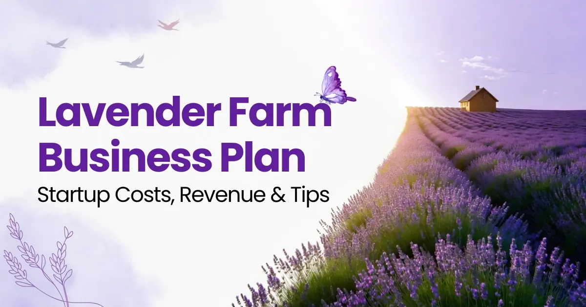 Lavender Farm Business Plan Startup Costs, Revenue & Tips