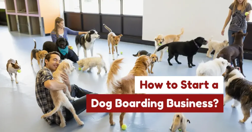 Dog boarding center with staff caring for dogs
