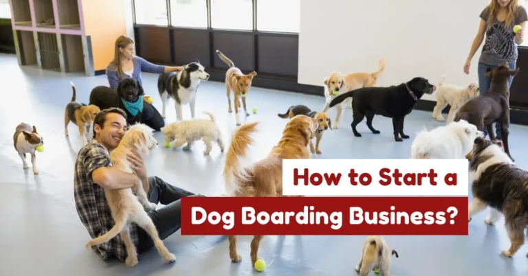 Dog boarding center with staff caring for dogs